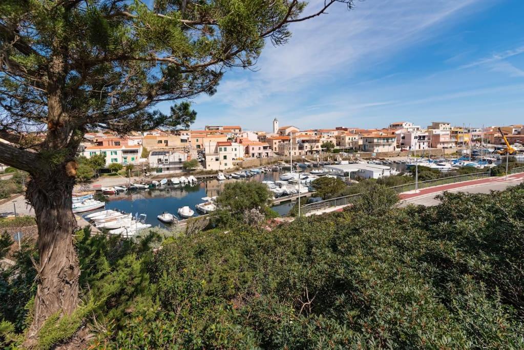 La Lampara - Casa Panoramica 4 Km Dalla Pelosa 스틴티노 외부 사진